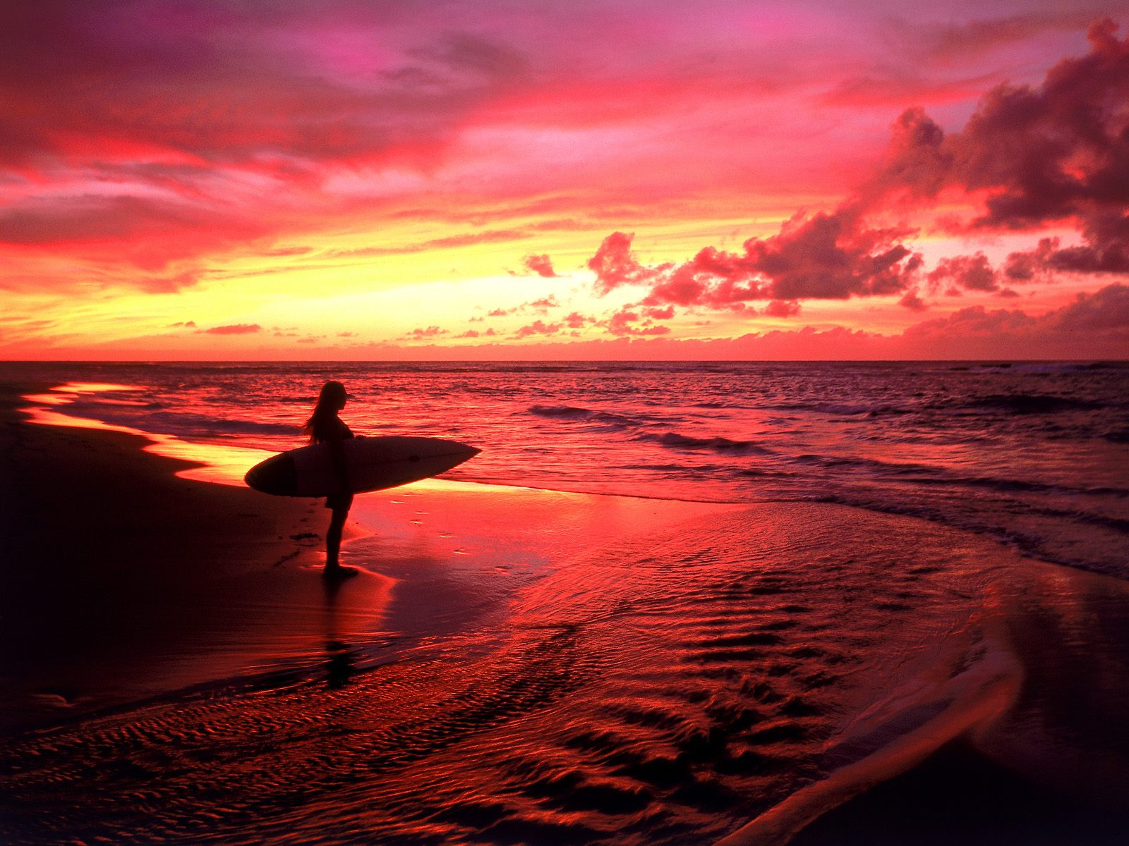 hawaii surfer